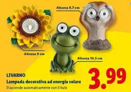 Lidl LIVARNO Lampada decorativa ad energia solare offerta