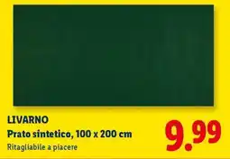 Lidl LIVARNO Prato sintetico, 100 x 200 cm offerta
