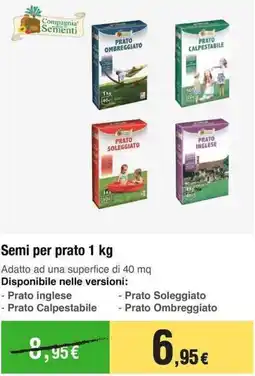 Handy fai da te Compagnia Sementi Semi per prato offerta
