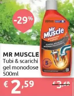 Ipersoap MR MUSCLE Tubi & scarichi gel monodose offerta