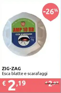 Ipersoap ZIG-ZAG Esca blatte e scarafaggi offerta
