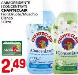 Crai Ammorbidente i concentrati CHANTECLAIR offerta