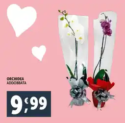 Deco Supermercati Orchidea addobbata offerta