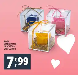 Deco Supermercati Rosa stabilizzata in scatola offerta