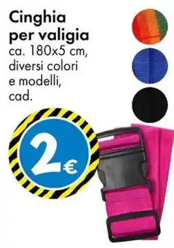 Tedi Cinghia per valigia offerta