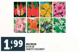 Deco Supermercati Mix bulbi offerta