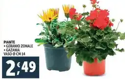 Deco Supermercati Piante geranio zonale, gazania offerta