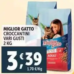 Deco Supermercati Miglior gatto croccantini offerta