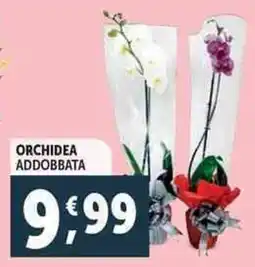 Deco Supermercati Orchidea addobbata offerta