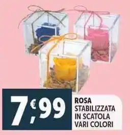 Deco Supermercati Rosa stabilizzata in scatola offerta