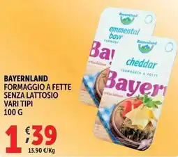 Deco Supermercati Bayernland formaggio a fette senza lattosio offerta