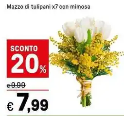 Iper La Grande Mazzo di tulipani x7 con mimosa offerta
