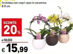 Iper La Grande Orchidea con copri vaso in ceramica offerta