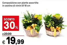 Iper La Grande Composizione con piante assortite in cestino di vimini offerta