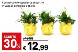 Iper La Grande Composizione con piante assortite in vaso di ceramica offerta