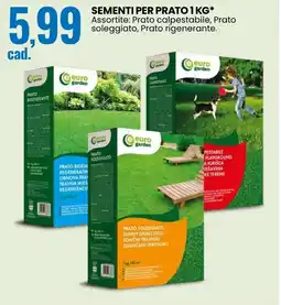 Eurospin Euro garden sementi per prato offerta