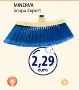 Acqua & Sapone MINERVA offerta
