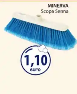 Acqua & Sapone MINERVA Scopa Senna offerta