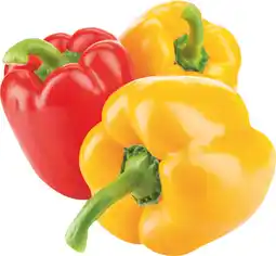 MD Discount PEPERONI offerta