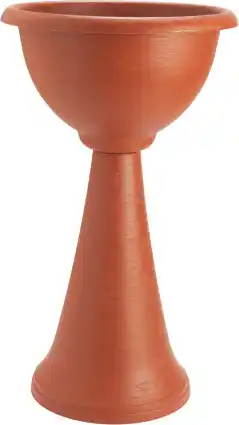 MD Discount FIORERIA PETRA offerta