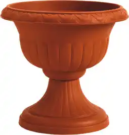 MD Discount FIORERIA ATENE offerta