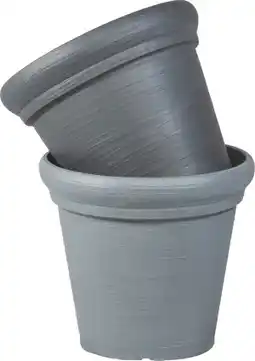 MD Discount VASO ANTICO offerta