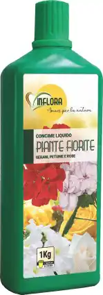 MD Discount CONCIMI LIQUIDI offerta