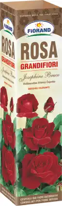 MD Discount ROSAI A CESPUGLIO GRANDI FIORI offerta