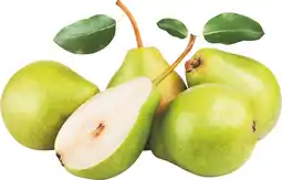 MD Discount PERE WILLIAMS offerta