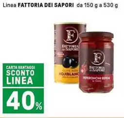 Iper La Grande Linea FATTORIA DEI SAPORI offerta