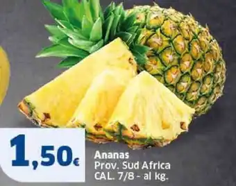 Sigma Ananas offerta