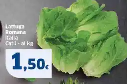 Sigma Lattuga Romana Italia offerta