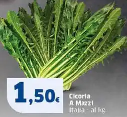 Sigma Cicoria A Mazzi Italia offerta