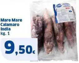 Sigma Mare Mare Calamaro India offerta