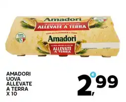 Extra Supermercati Amadori uova allevate a terra offerta