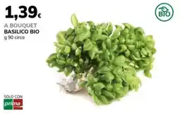 Basko Basilico bio offerta