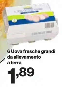 In'S Mercato 6 Uova fresche grandi da allevamento a terra offerta