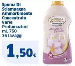 Sigma Spuma Di Sciampagna Ammorbidente Concentrato offerta