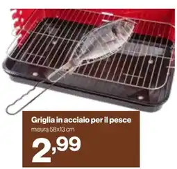 In'S Mercato Griglia in acciaio per il pesce offerta