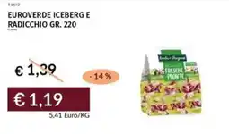 Prezzemolo e Vitale Euroverde iceberg e radicchio offerta