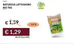 Prezzemolo e Vitale Naturizia lattughino bio offerta