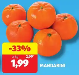 ALDI Mandarini offerta