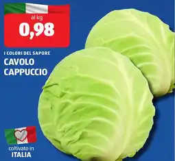 ALDI I colori del sapore cavolo cappuccio offerta