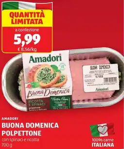 ALDI Amadori buona domenica polpettone offerta