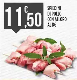 Euroesse Spiedini di pollo con alloro offerta