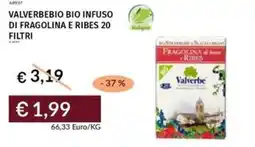 Prezzemolo e Vitale Valverbebio bio infuso di fragolina e ribes offerta
