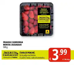 Tigros Fragola candonga MERITA L'ASSAGGIO offerta