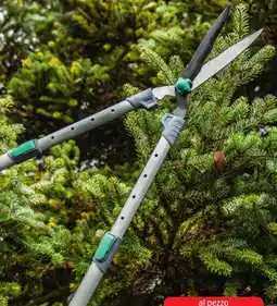 ALDI Gardenline set di cesoie telescopiche offerta