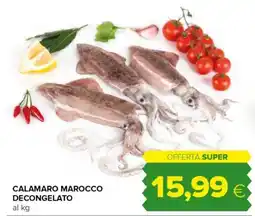 Tigre Calamaro marocco decongelato offerta