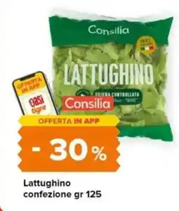 Tigre Consilia Lattughino offerta